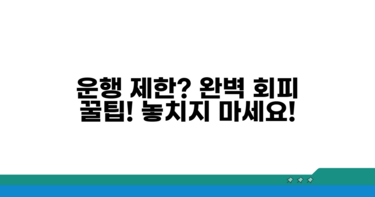 운행 제한 피하는 꿀팁 모음
