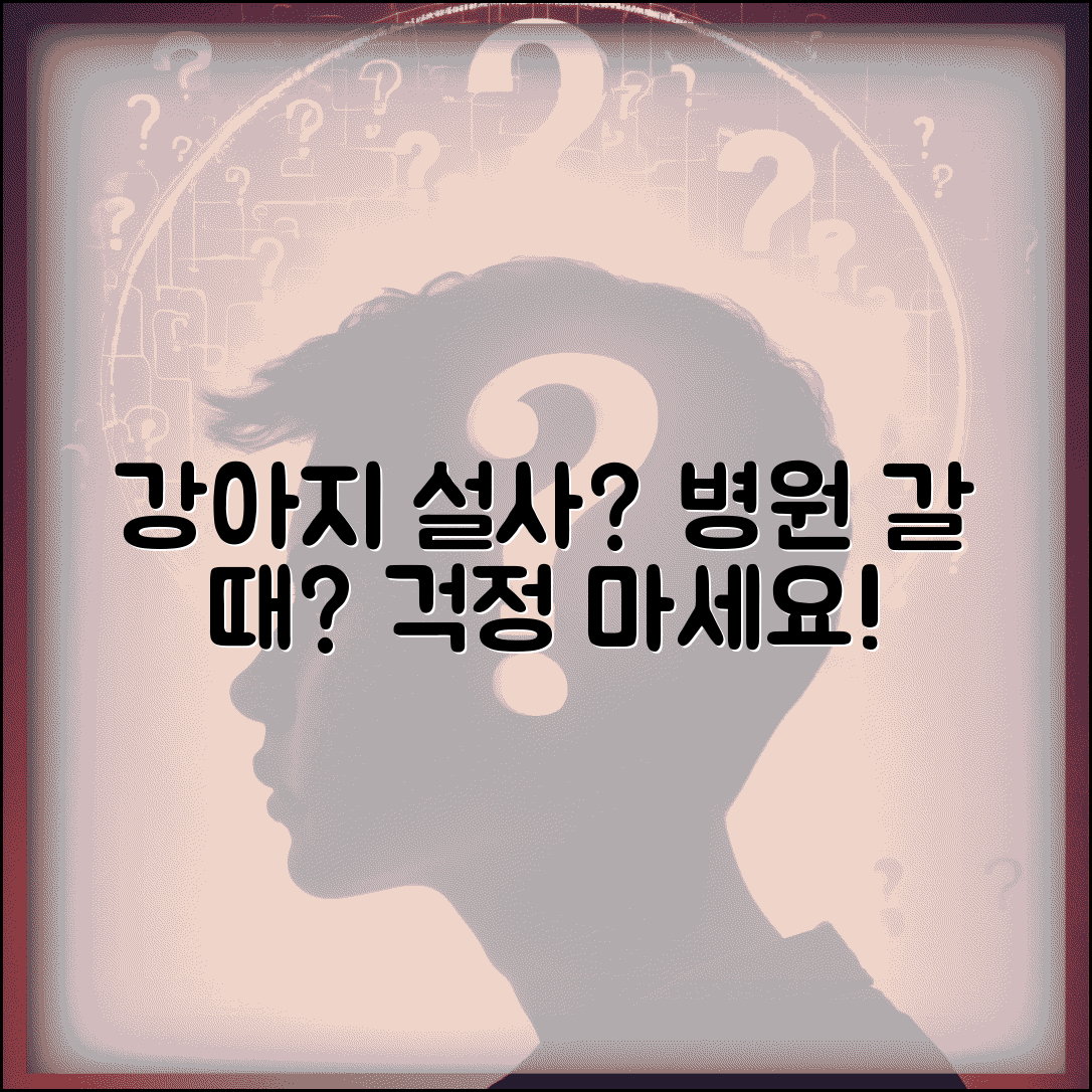 강아지 설사 지속 기간 병원 | 강아지 설사 증상과 진료 시기