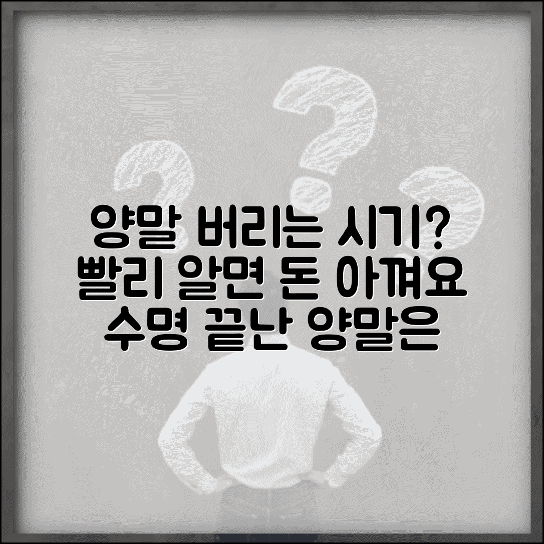 양말 교체주기 | 양말 버리는 시기 수명