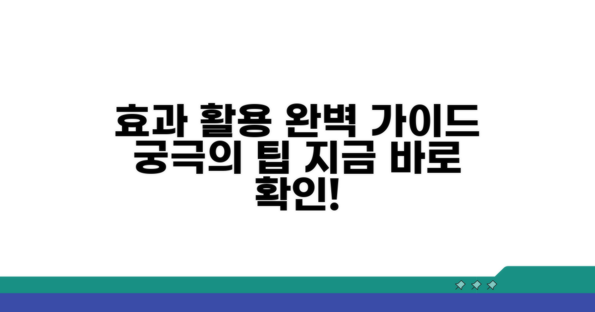 효과적인 활용법 완벽 가이드