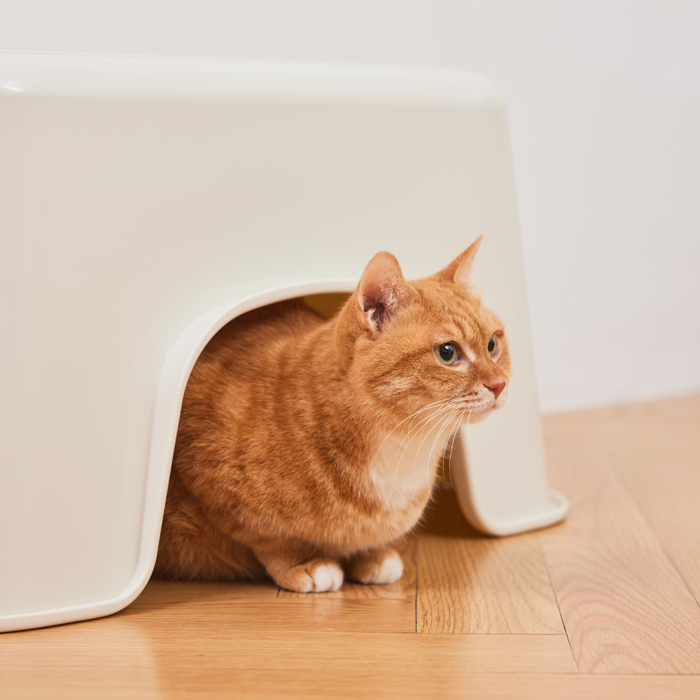 3651 감자밭 가벼운 대형 고양이 화장실 상세 이미지 1